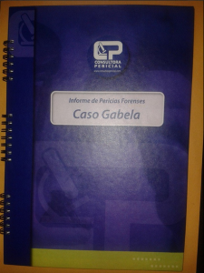Informe caso Gabela
