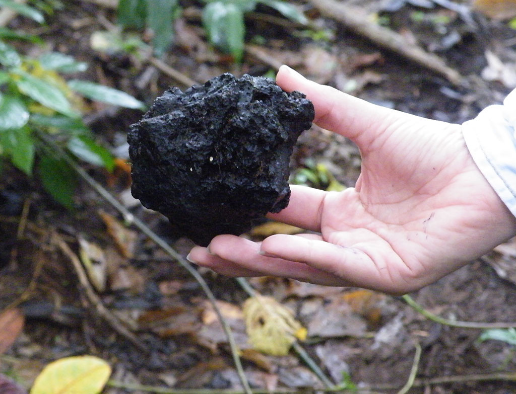 excrementos de petroleo