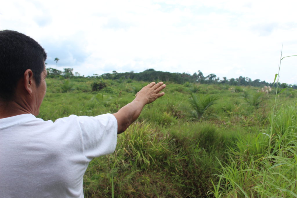 Presidente de la Comunidad Riveras del Punino, Maximiliano Moreno, muestra el terreno colindante a su finca, que ahora está plantado de palma y antes solía ser bosque. Foto: Daniela Aguilar.