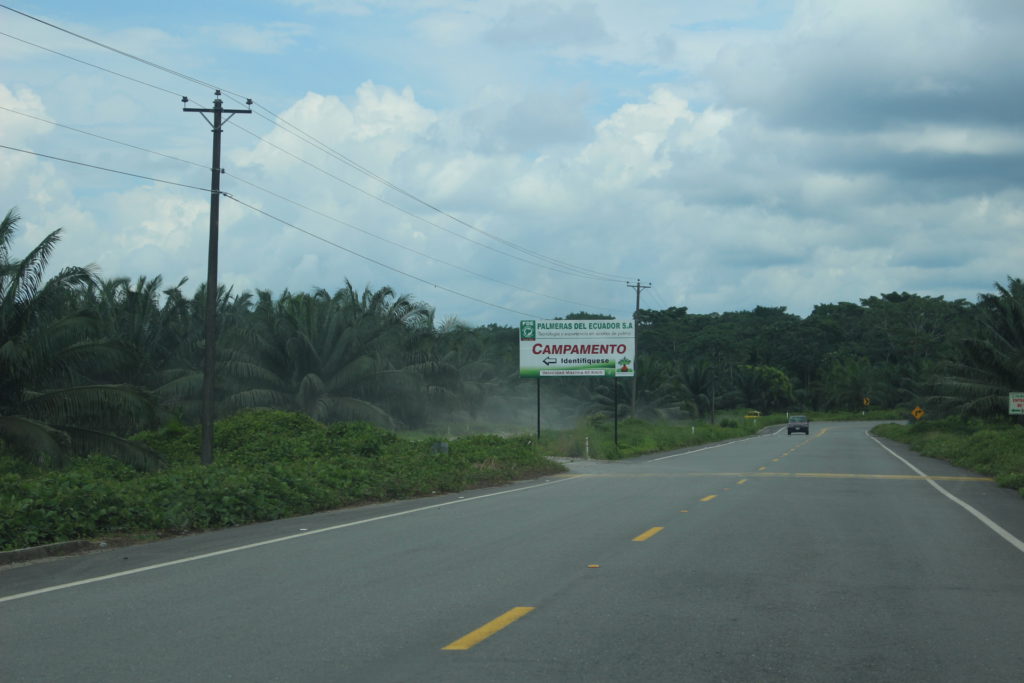 Vía a Puerto Providencia, parte del eje Manta-Manaos que inauguró el presidente Correa hace alrededor de tres años. La carretera bordea las plantaciones de la empresa Palmeras del Ecuador.