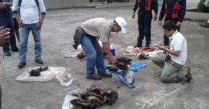 Decomiso de carne de guanta y mono en mayo de 2012 en Orellana por parte del Ministerio de Ambiente.