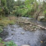 La lucha de los Tsáchilas para descontaminar sus ríos