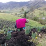 Comuneros indígenas impulsan la agroecología y el cuidado ambiental