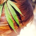 Cannabis para la calvicie, una revolución